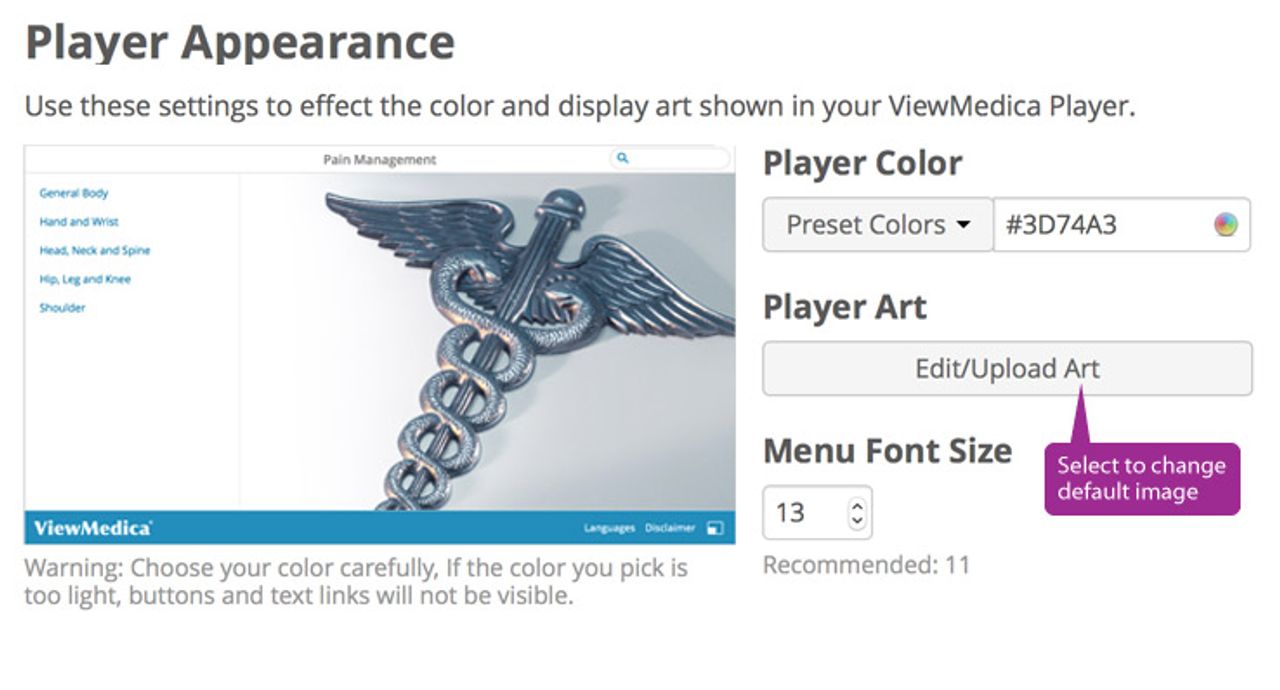 The appearance editor allows you to edit your players color, art, and font size.