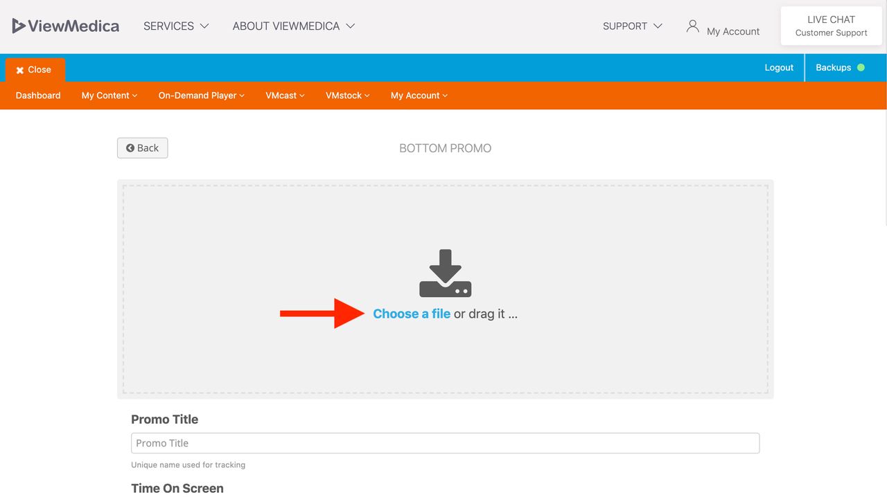 Upload your bottom promo to ViewMedica.