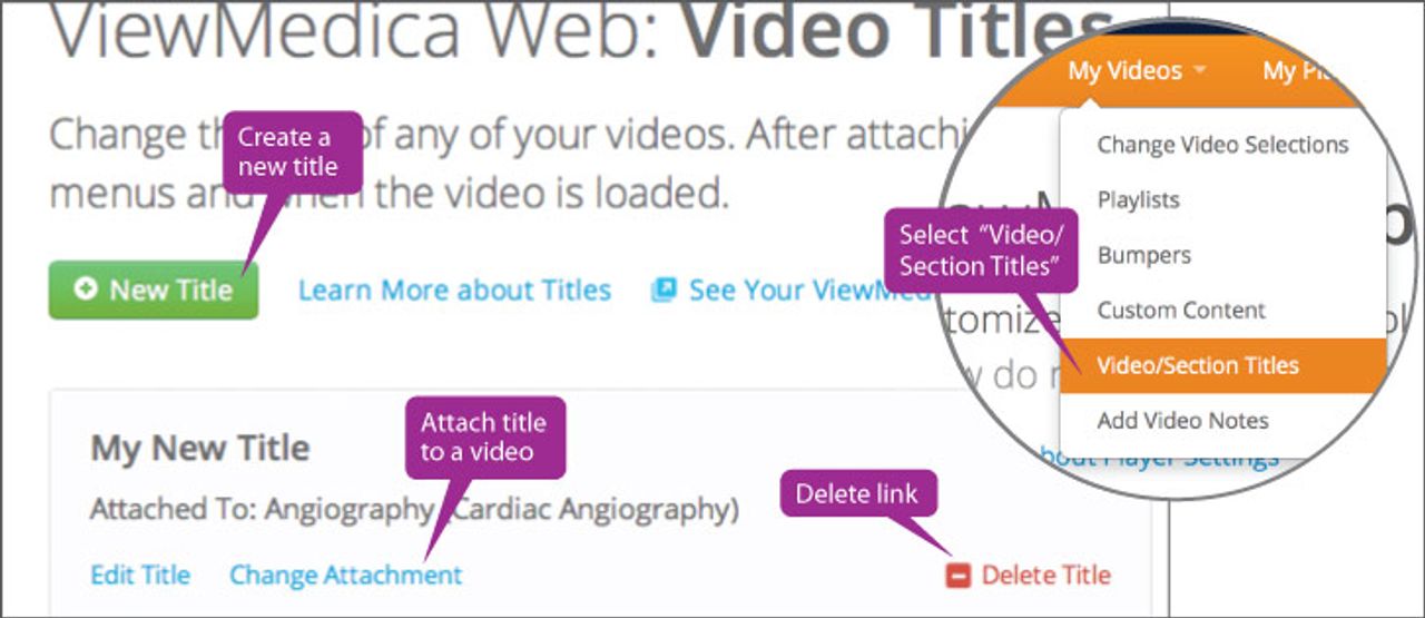 You can change individual video title using the web interface.