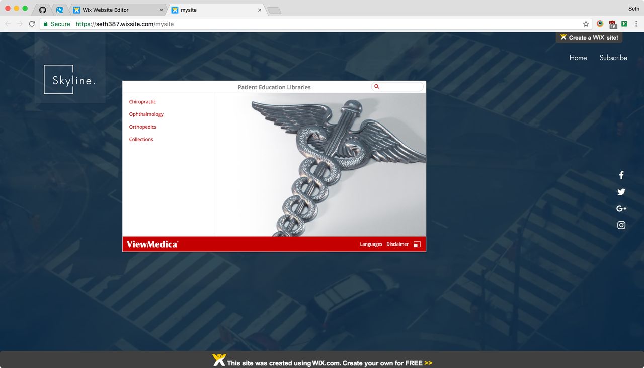 Once the widget is saved, the ViewMedica player will appear.