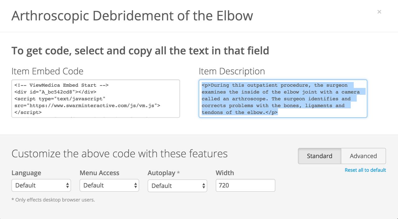 The item description is selected and highlighted with the cursor.