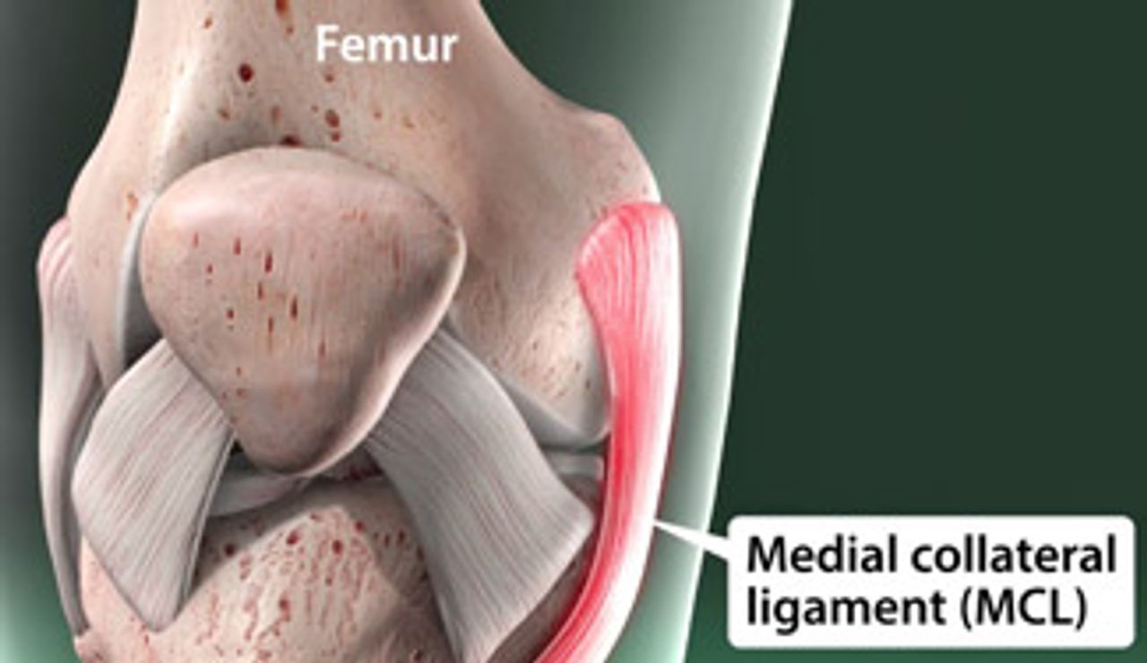 ViewMedica videos simplify medical concepts.