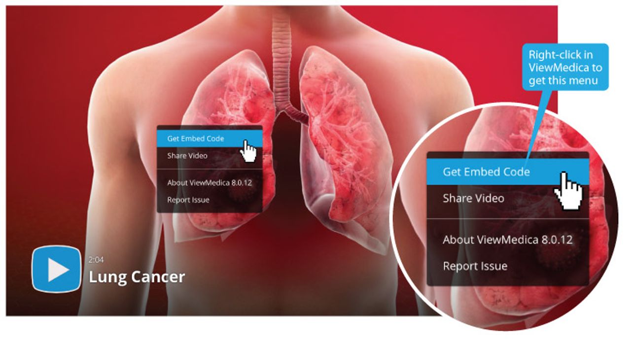 You can copy the embed code, set certain features, and more!