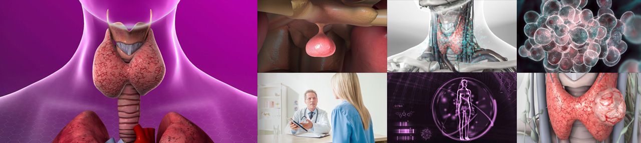 Various images from endocrinology patient education videos