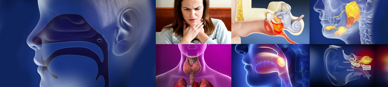 Various images from ear, nose and throat patient education videos