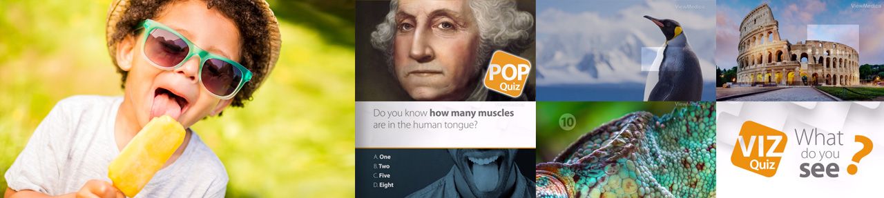 Various images from entertainment videos