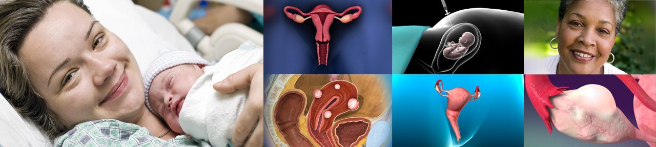 Various images from ob/gyn patient education videos