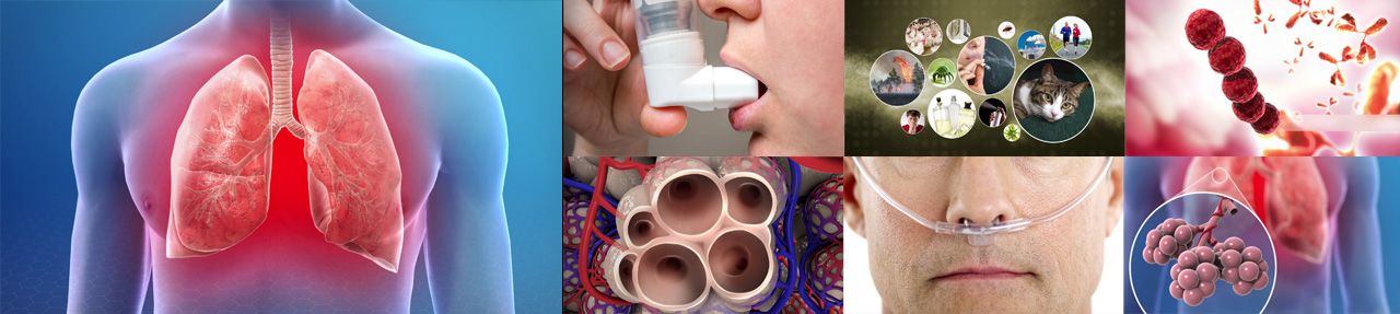 Various images from pulmonology patient education videos