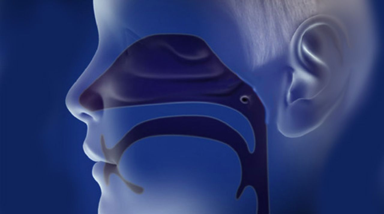 Ear, Nose and Throat Library Thumbnail