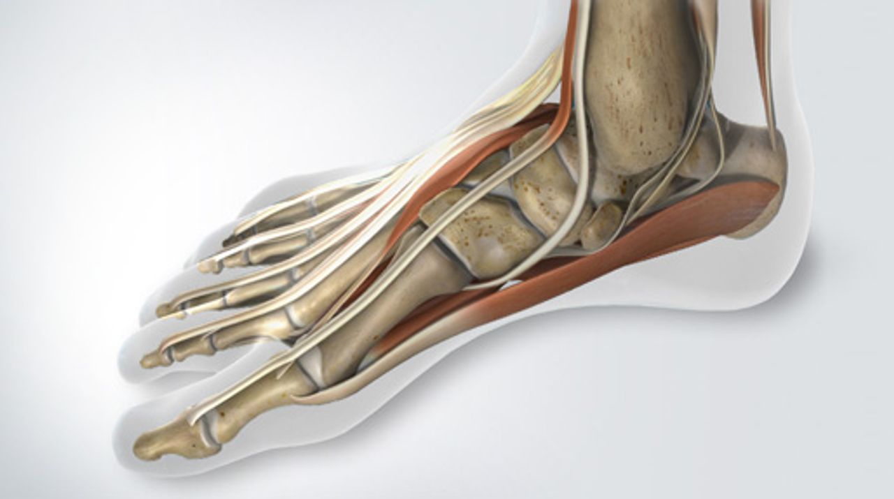 Podiatry Library Thumbnail