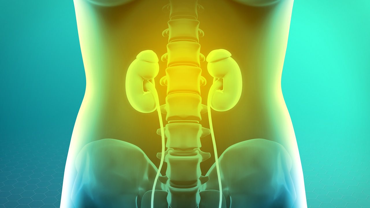 Urology Library Thumbnail