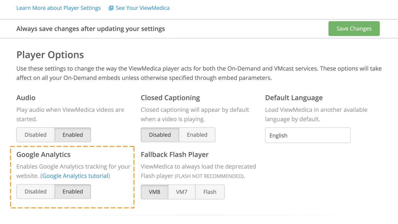 The Google Analytics toggle is located at the bottom of the player options page.