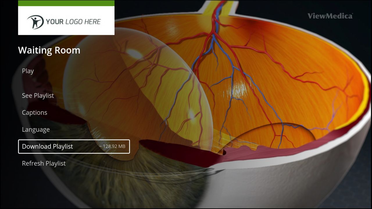 The download playlist item is selected on the desired loop.