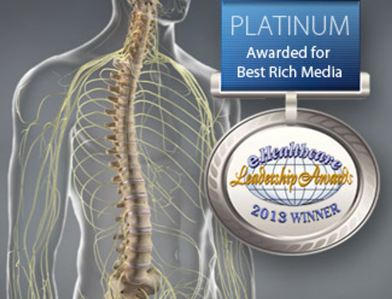 ViewMedica wins best in rich media.