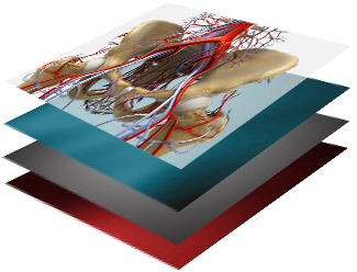 Customizable Backgrounds