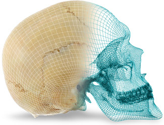 New Images Added Regularly